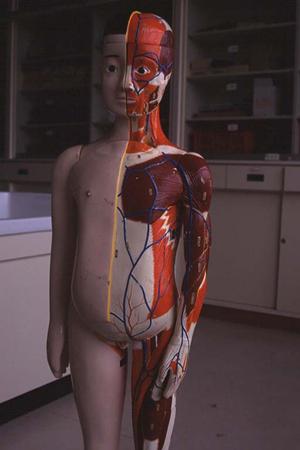 「五反田での精神科選び：安心・信頼のメンタルケアを受けるためのポイント」