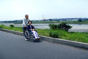 低価格の治療費で受けることができるインプラント