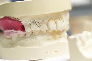 新宿での新型コロナワクチン接種を完全サポート！予約から必要な持ち物まで徹底ガイド