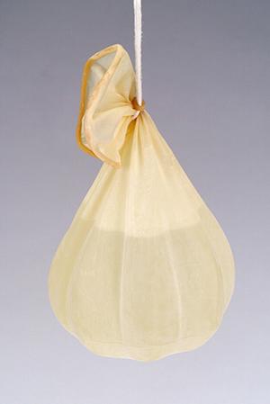 胃カメラや大腸カメラでがんを早期発見