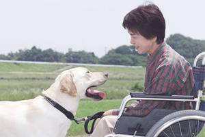 守山市で家族全員が安心して通える歯医者を見つけるための完全ガイド