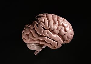 小倉北区で家族全員が安心して通える歯医者の選び方とおすすめクリニックガイド