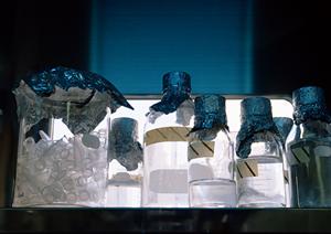 大分市内の循環器科の人気の理由